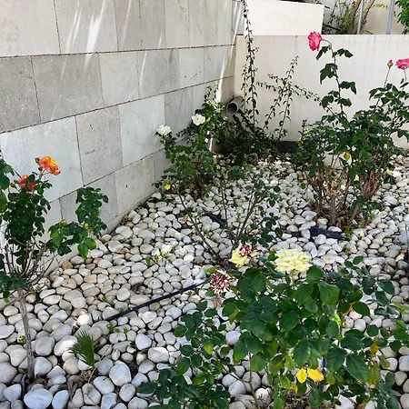Appartement Casa De Gaia Alicante